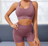 Seamless Racer Back Sports Bra & Biker Shorts